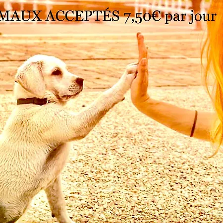 Soit En 3 Ou 4ch - Jusqu'a 18 Voyageurs - Mh732 3ch Ou Mh828 4ch Biscarrosse Lake-proche Ocean Campsite 4*